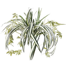 60cm Faux Hanging Spider Plant Bush