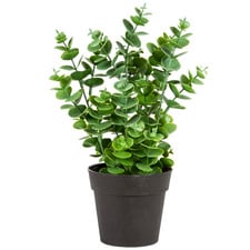 27cm Potted Faux Eucalyptus Plant