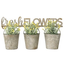 3 Bucket Fresh Flower Wall Planter
