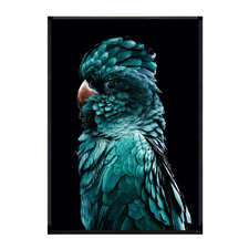 Azsure Cocky Framed Printed Wall Art