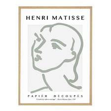 Sage Matisse Framed Acrylic Wall Art