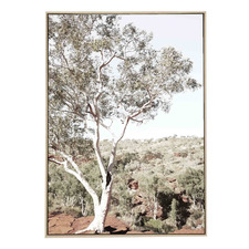 River Red Gum Framed Canvas Wall Art