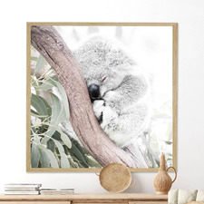 Bushland Koala Framed Acrylic Wall Art