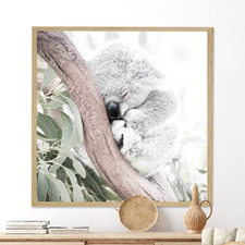 Bushland Koala Framed Wall Art