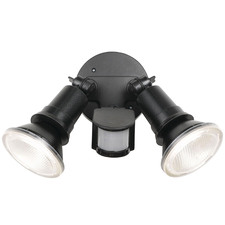 Lucius 2 Light 20W LED Sensor Spotlight