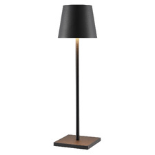 38cm Caia Rechargeable LED Table Lamp with USB