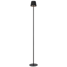 Elea Metal LED Cordless Floor Lamp with USB