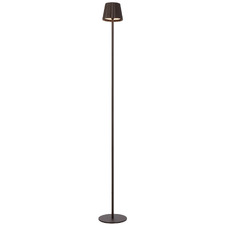 Elea Metal LED Cordless Floor Lamp with USB