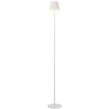 Elea Metal LED Cordless Floor Lamp with USB