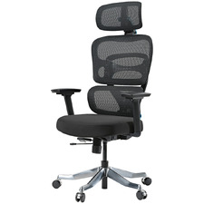 Axion Ergonomic Desk Chair