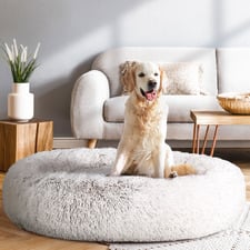 Esme Pet Bed