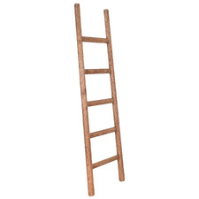 Paviel Recycled Elm Wood Decorative Ladder