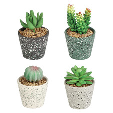 4 Piece Knot Potted Faux Succulent Set