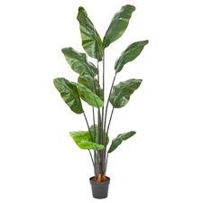 180cm Potted Faux Banana Leaf Plant