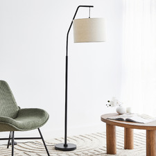 Aneirin Iron Suspended Floor Lamp