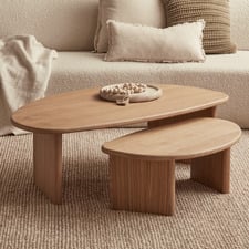 2 Piece Fallyn Nesting Coffee Table Set