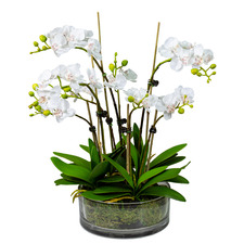46cm Potted Faux Orchid