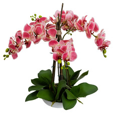 45m Potted Faux Pink Phalaenopsis Orchids