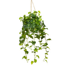 104cm Potted Faux Hanging Pothos Bush