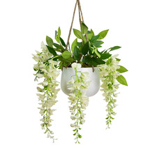 75cm Potted Faux Hanging Cream Wisteria Plant