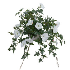 45cm Cream Potted Faux Morning Glory Plant