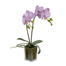 40cm Lavender Faux Orchid Flower in Glass Pot