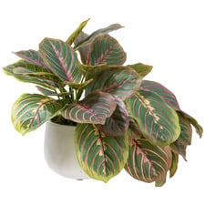 28cm Potted Faux Peacock Bush