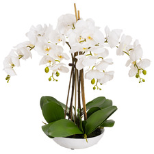 45cm Potted Faux White Phalaenopsis Orchid Arrangement