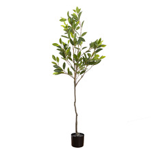 158cm Potted Faux Camellia Tree