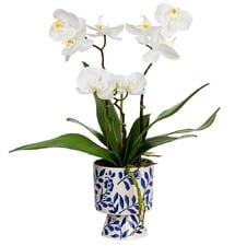 72cm Faux Orchid with Footed Vase
