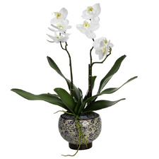 52cm Faux Orchid with Bowl