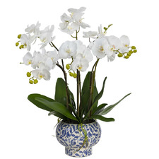 72cm Faux Orchid with Footed Bowl