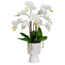85cm White Faux Orchid with Pedestal Vase
