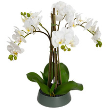 48cm Faux Orchid with Bowl