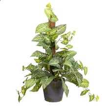 73cm Potted Faux Syngonium on Pole