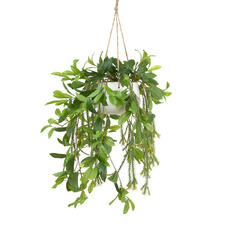 103cm Potted Faux Hanging Laurel