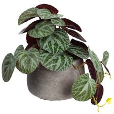 17cm Potted Faux Geranium Bush Plant