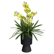90cm Green Potted Faux Cymbidium Flower