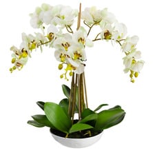 45cm Potted Faux Apple Green Phalaenopsis Orchid