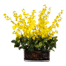 65cm Faux Dancing Lady Orchid in Glass Vase