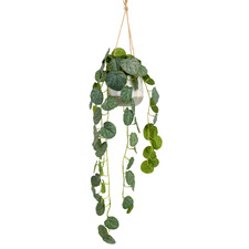 105cm Potted Faux Hanging Begonia Plant