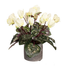 34cm Cream Potted Faux Cyclamen Plant
