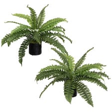 2 Piece Potted Faux Boston Fern Set