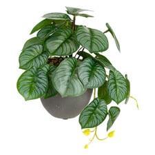 17cm Potted Faux Calathea Bush Plant
