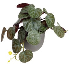17cm Potted Faux Geranium Bush Plant