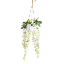 75cm Potted Faux Hanging Cream Wisteria Plant