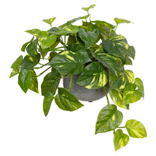 32cm Potted Faux Pothos Plant in Ceramic Pot