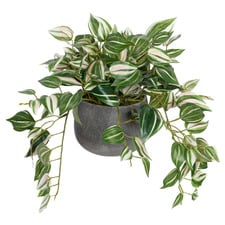 32cm Potted Faux Wandering Jew Bush Plant