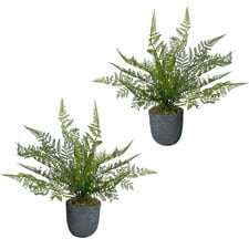 34cm Potted Faux Ruffle Fern Plants (Set of 2)