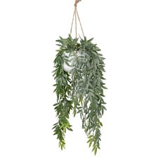 114cm Potted Faux Hanging Ruscus Plant